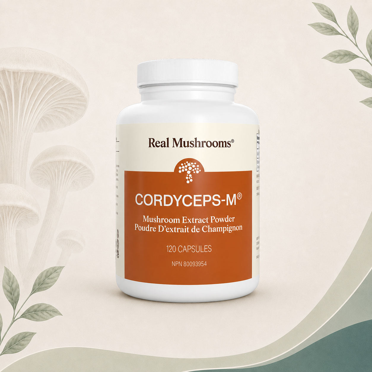 Cordyceps-M - Organic Cordyceps-M® Extract Capsules - BiosenseClinic
