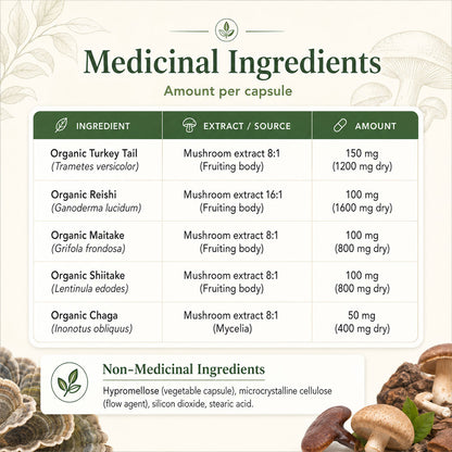 5 Defenders® Organic Mushroom Blend Capsules - BiosenseClinic
