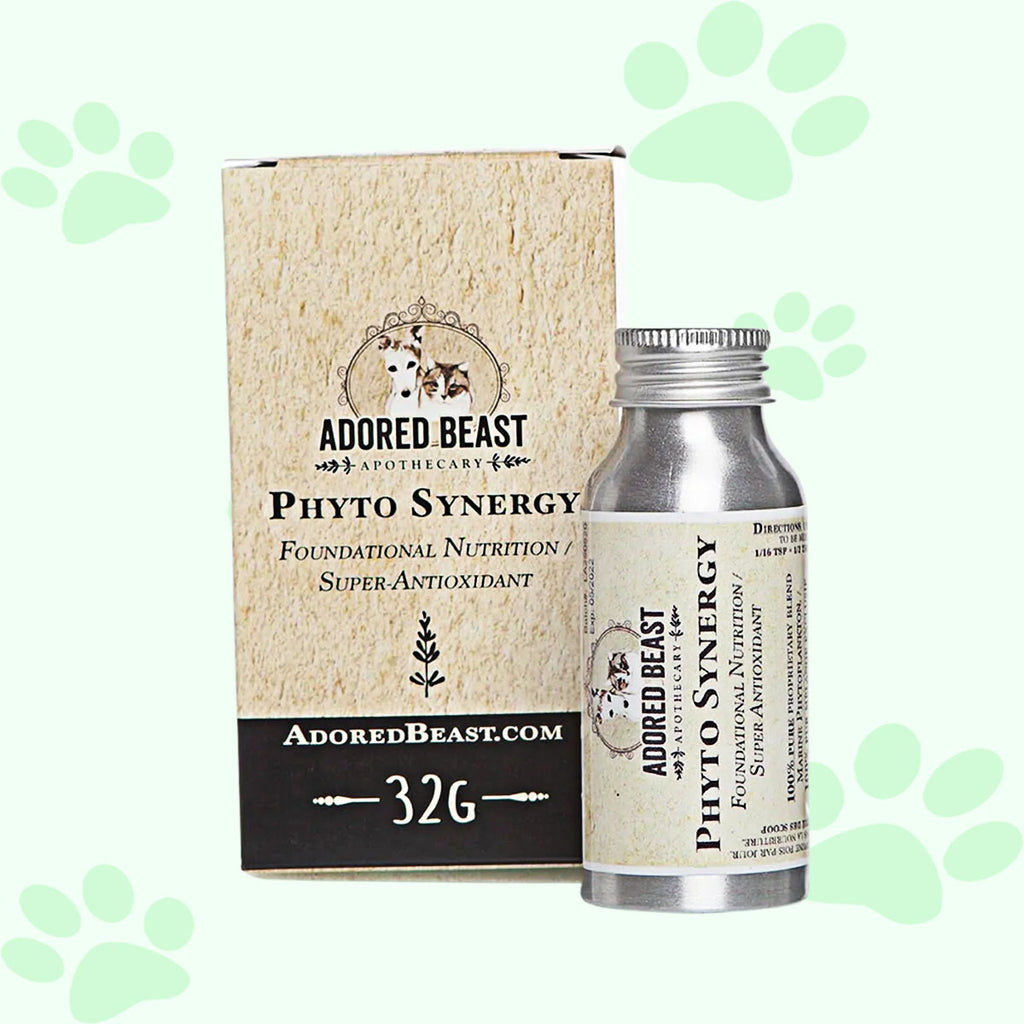 Adored Beast Phyto Synergy | Super Antioxidant 32g - biosenseclinic.ca