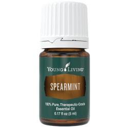 YL Spearmint essential oil - BiosenseClinic.ca