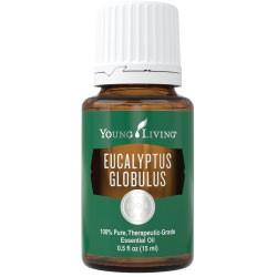 YL Eucalyptus Globulus Essential Oil - BiosenseClinic.ca