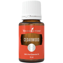 YL Cedarwood Essential Oil - BiosenseClinic.ca