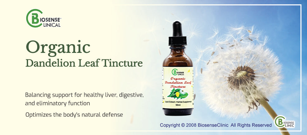 Organic Dandelion Leaf Tincture Serum